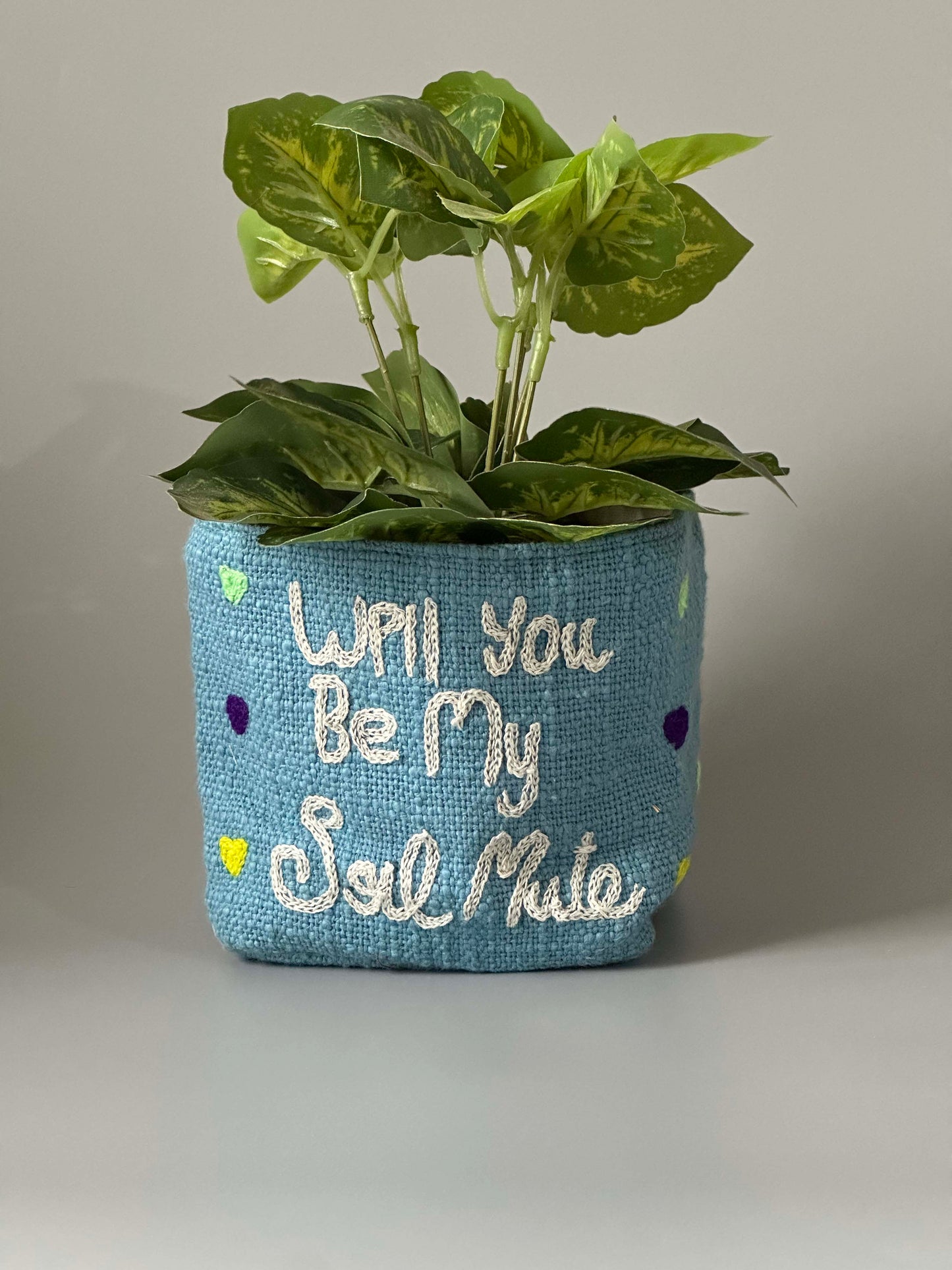 Powder Blue Will you be my Soil Mate Happy Planter